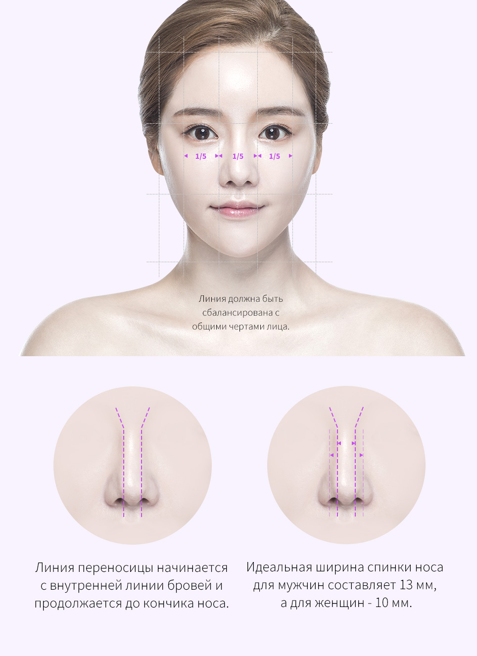Правильные пропорции спинки носа